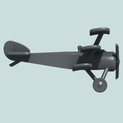 Right view