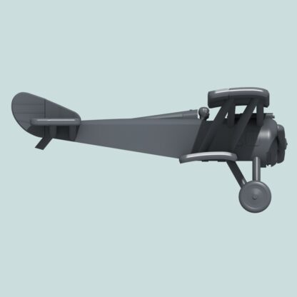 Right view