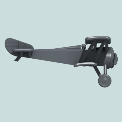 Right view